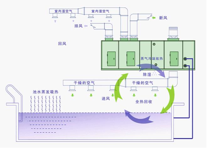 泳池除濕機(jī)示意圖3.jpg